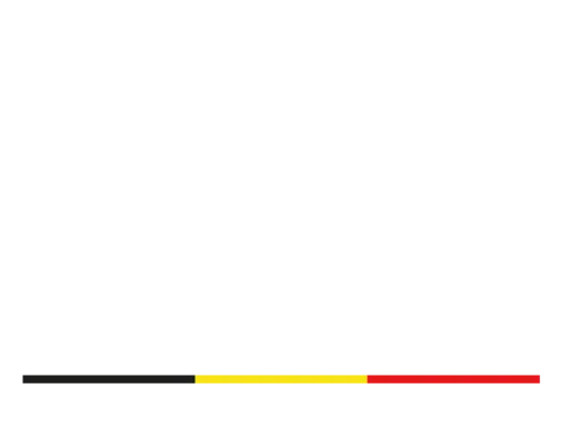 Logo de Bruyerre